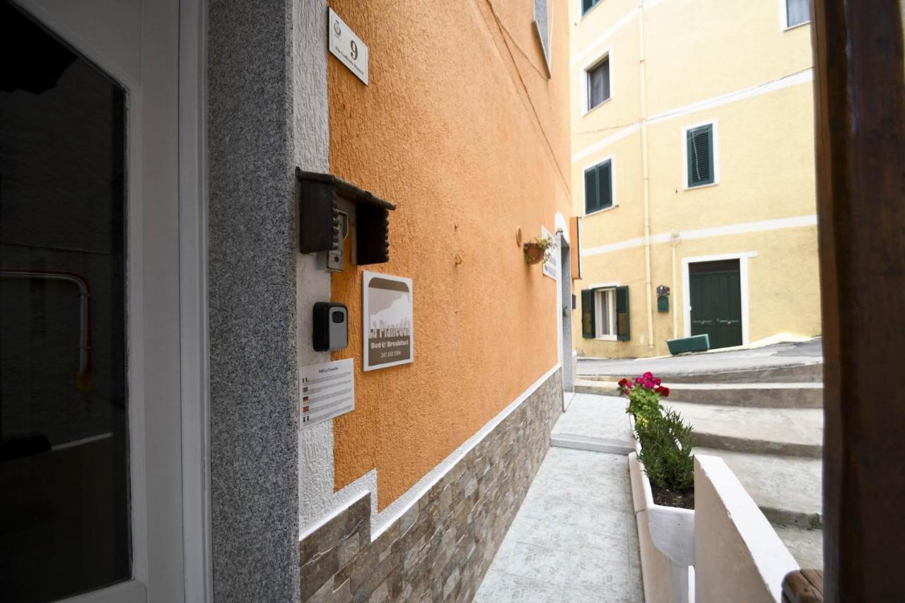 B&B La Pianedda Castelsardo Exterior foto